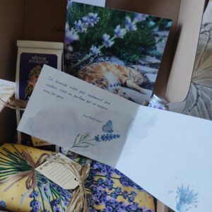 Box Tourisme : L'Or Bleu de Provence – Image 3