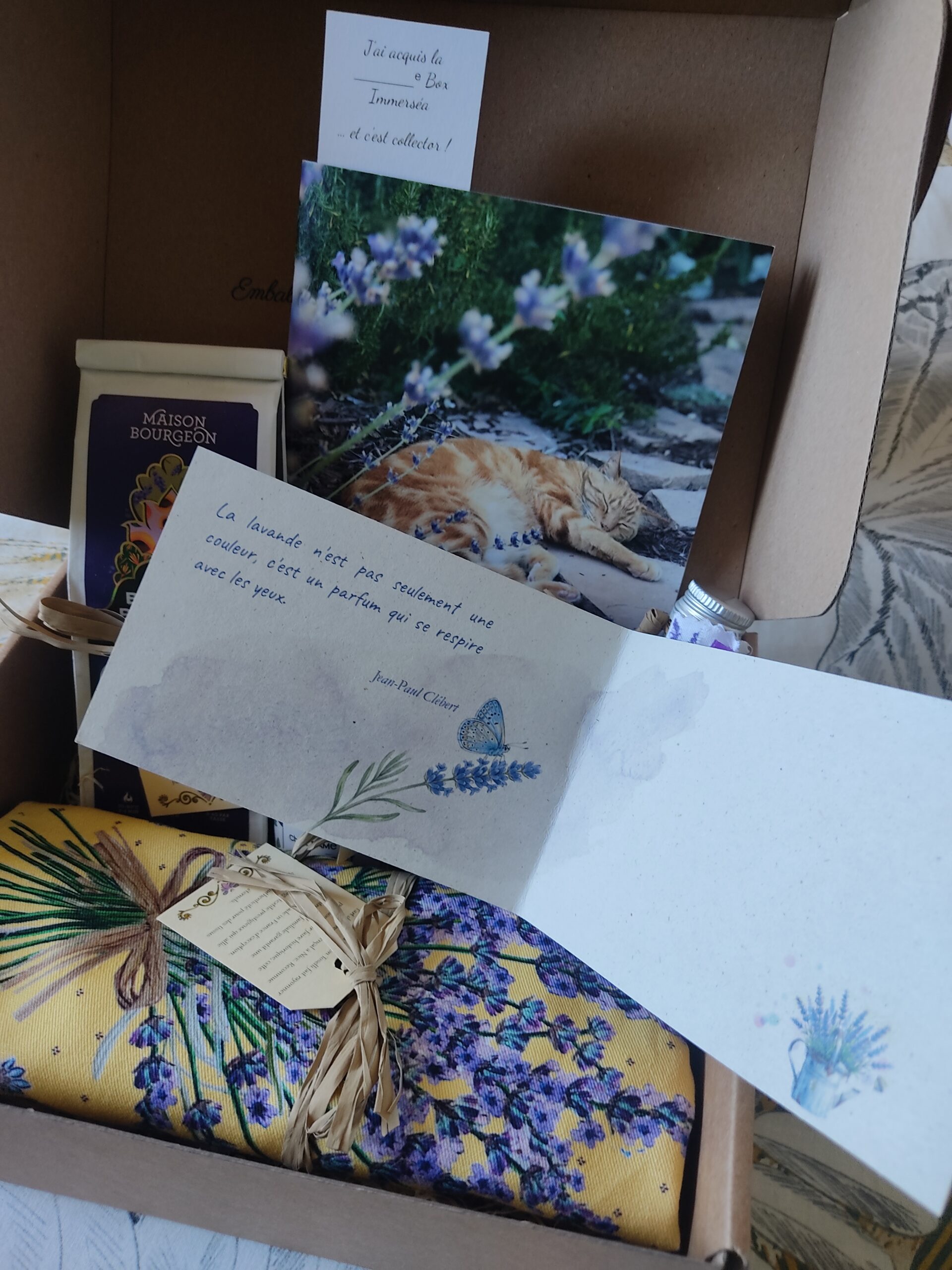 Box Tourisme : L'Or Bleu de Provence – Image 3