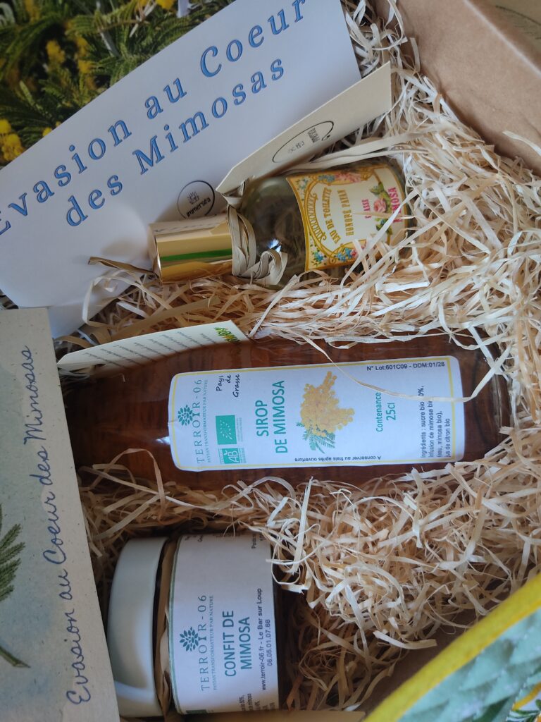 Edition Spéciale - Evasion au cœur des Mimosas
