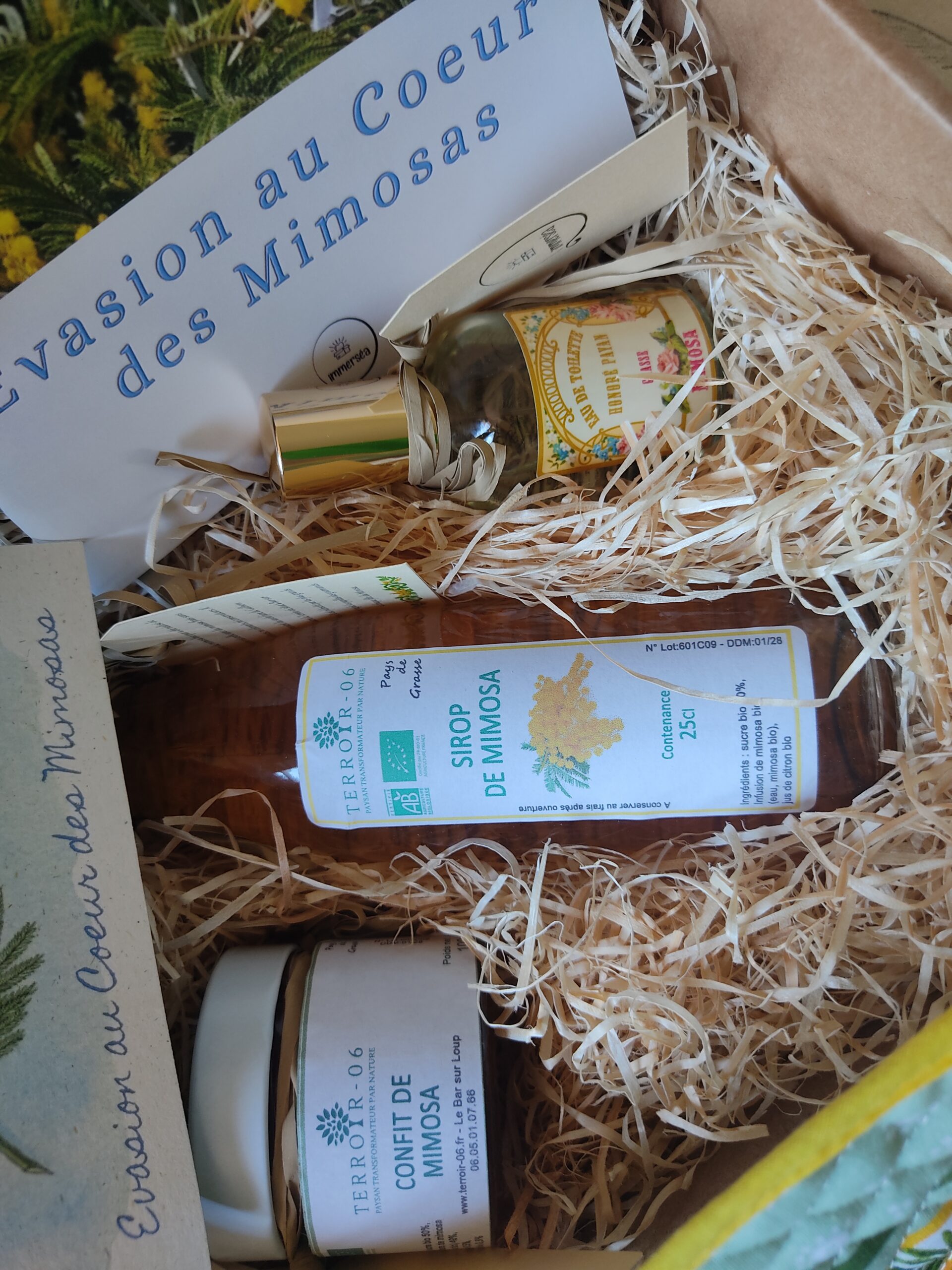 Edition Spéciale - Evasion au cœur des Mimosas – Image 4